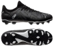 Preview: Puma Fußballschuhe Future Play FG/AG